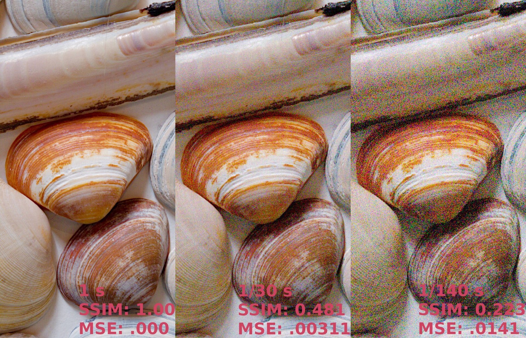 Image noise compared at different ISO settings.