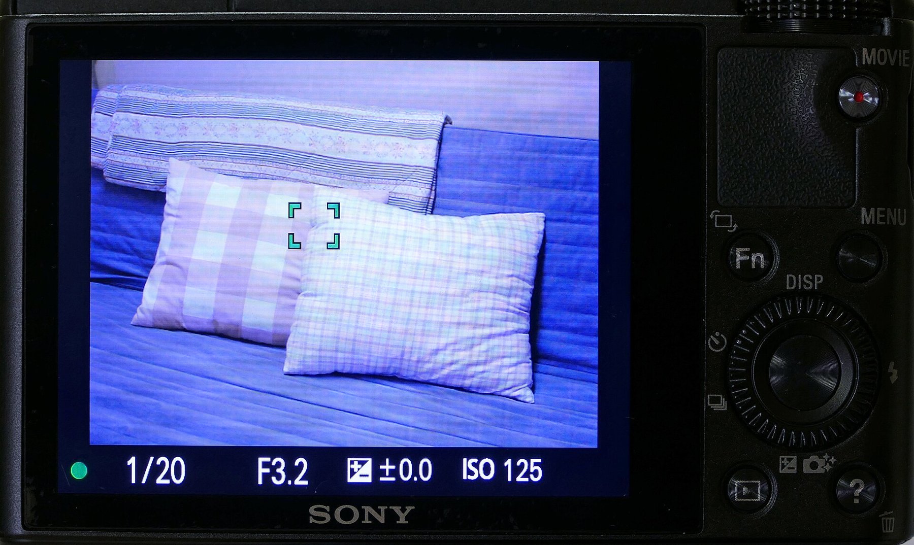 A single selected autofocus point.